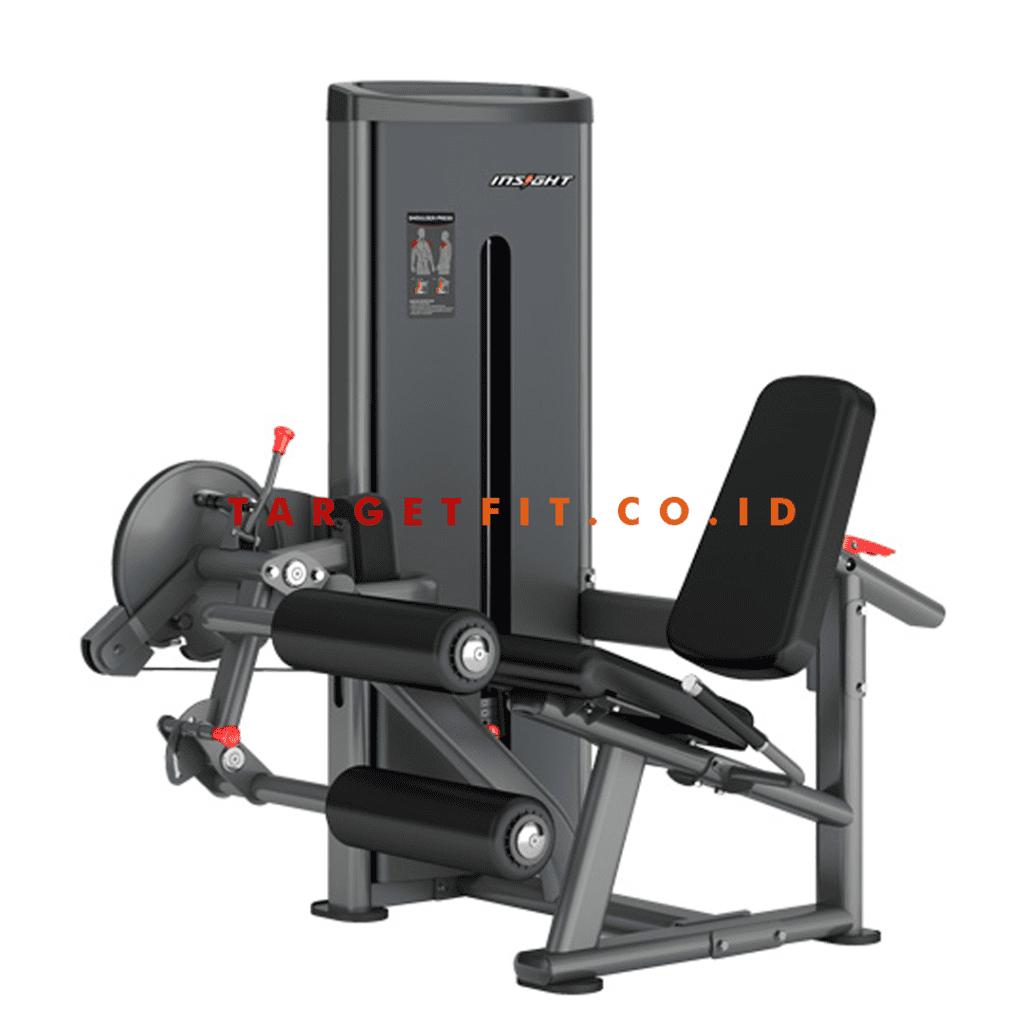 Insight Leg Curl and Extension DA025 - Targetfit