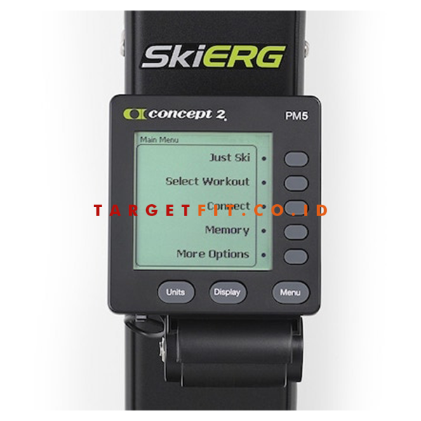 Concept 2 SkiErg - Image 3