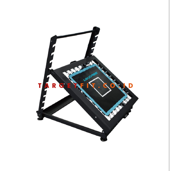 Livepro Medicine Ball Rebounder